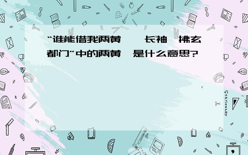 “谁能借我两黄鹄,长袖一拂玄都门”中的两黄鹄是什么意思?