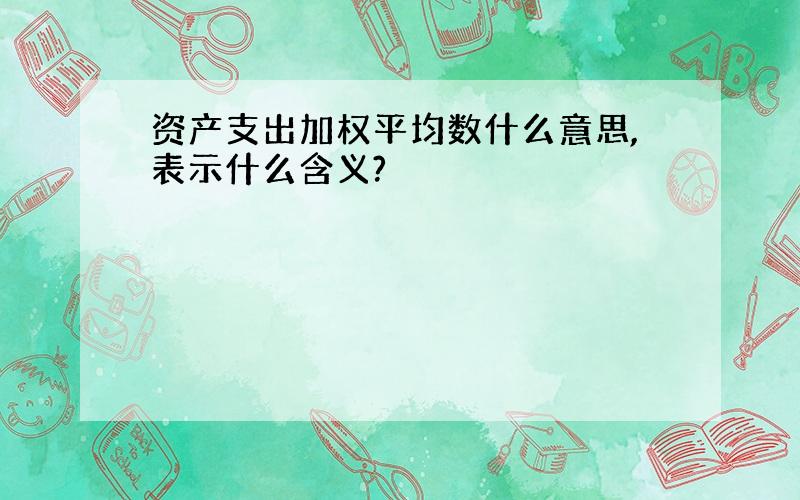 资产支出加权平均数什么意思,表示什么含义?