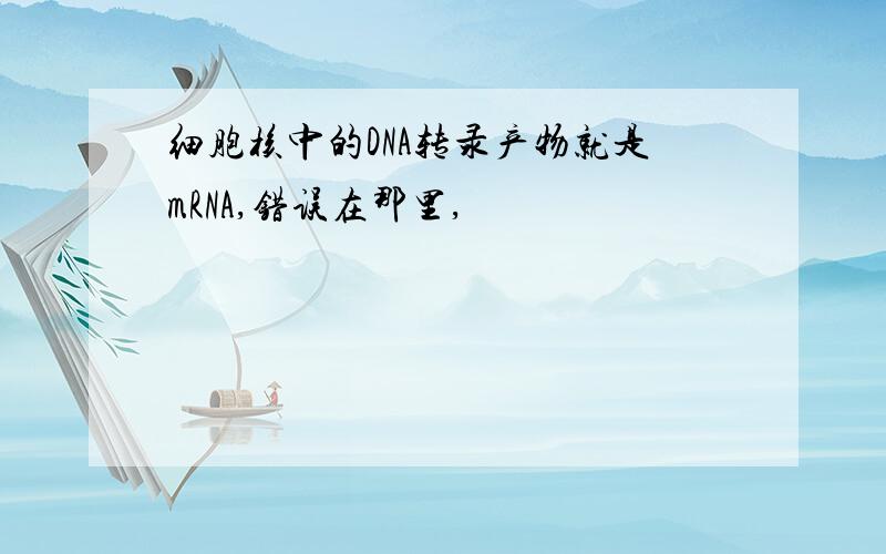 细胞核中的DNA转录产物就是mRNA,错误在那里,