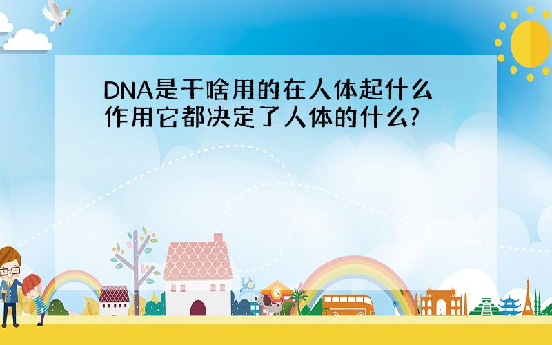 DNA是干啥用的在人体起什么作用它都决定了人体的什么?