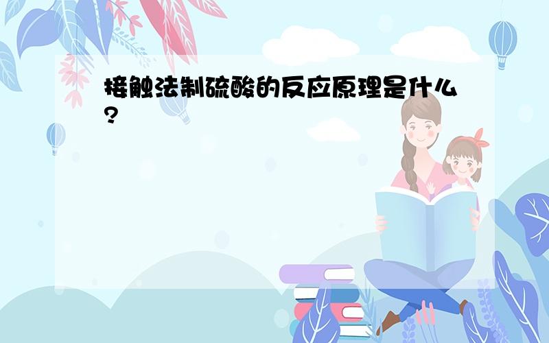 接触法制硫酸的反应原理是什么?