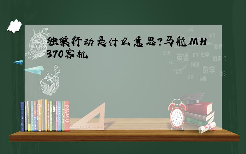 独狼行动是什么意思?马航MH370客机