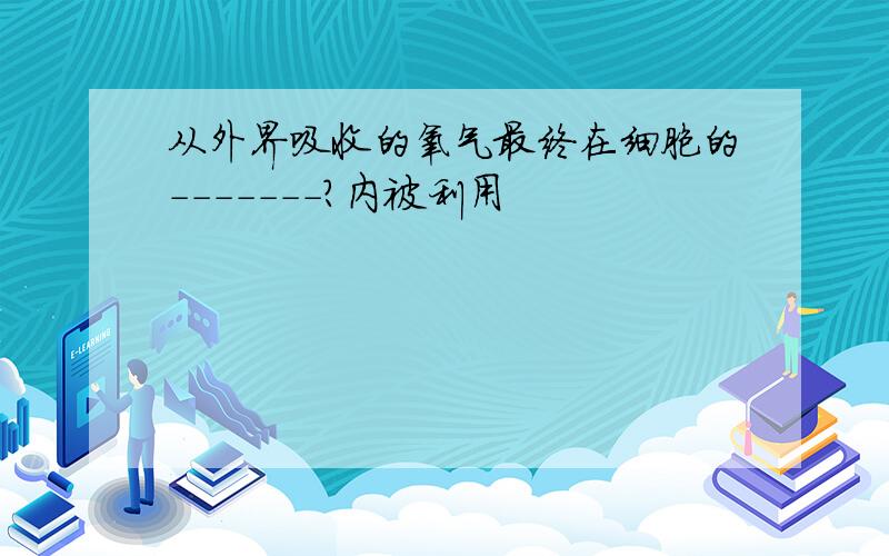 从外界吸收的氧气最终在细胞的-------?内被利用