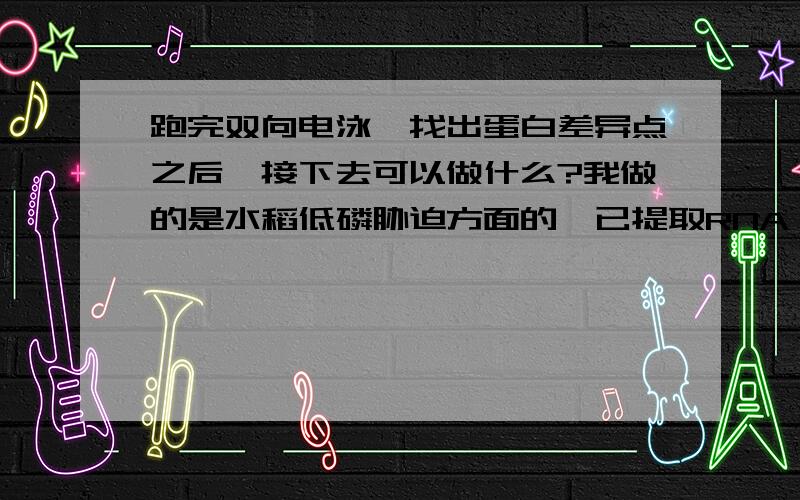 跑完双向电泳,找出蛋白差异点之后,接下去可以做什么?我做的是水稻低磷胁迫方面的,已提取RNA