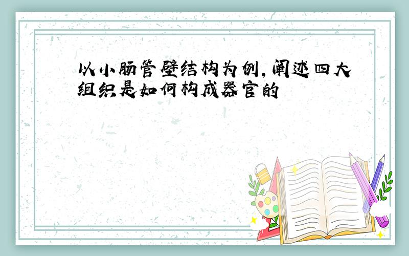 以小肠管壁结构为例,阐述四大组织是如何构成器官的