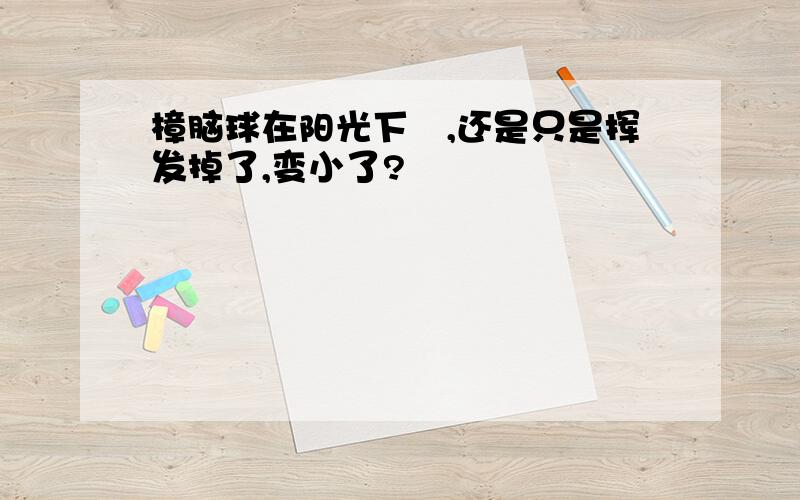 樟脑球在阳光下嗮,还是只是挥发掉了,变小了?