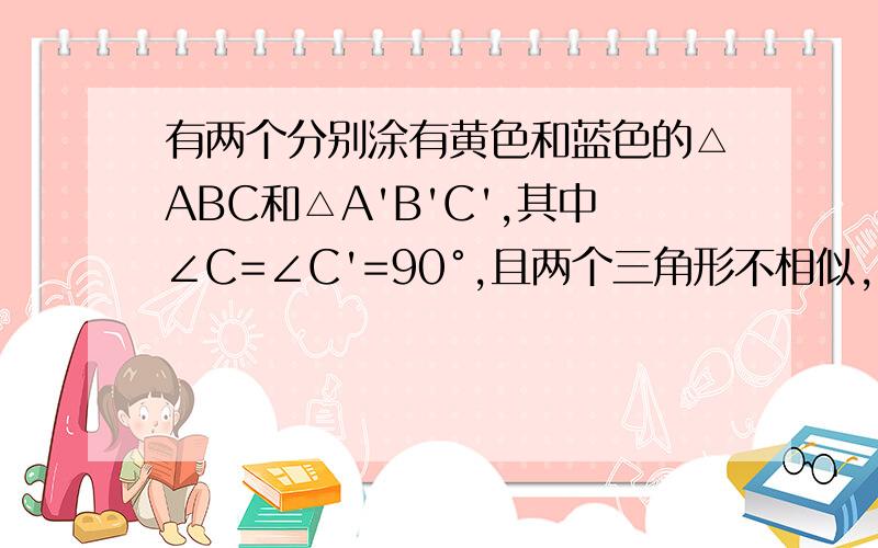 有两个分别涂有黄色和蓝色的△ABC和△A'B'C',其中∠C=∠C'=90°,且两个三角形不相似,ask:能否分别用一条