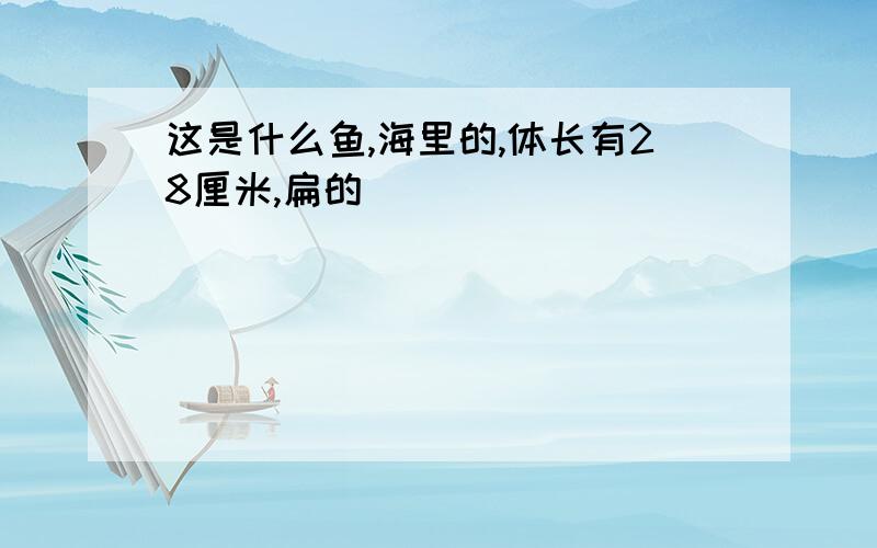 这是什么鱼,海里的,体长有28厘米,扁的