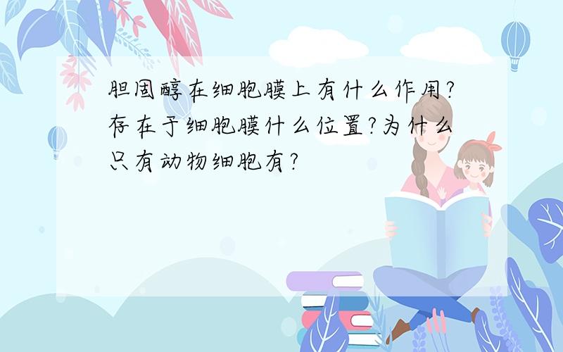 胆固醇在细胞膜上有什么作用?存在于细胞膜什么位置?为什么只有动物细胞有?