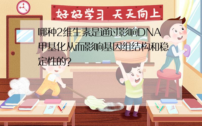 哪种2维生素是通过影响DNA甲基化从而影响基因组结构和稳定性的?