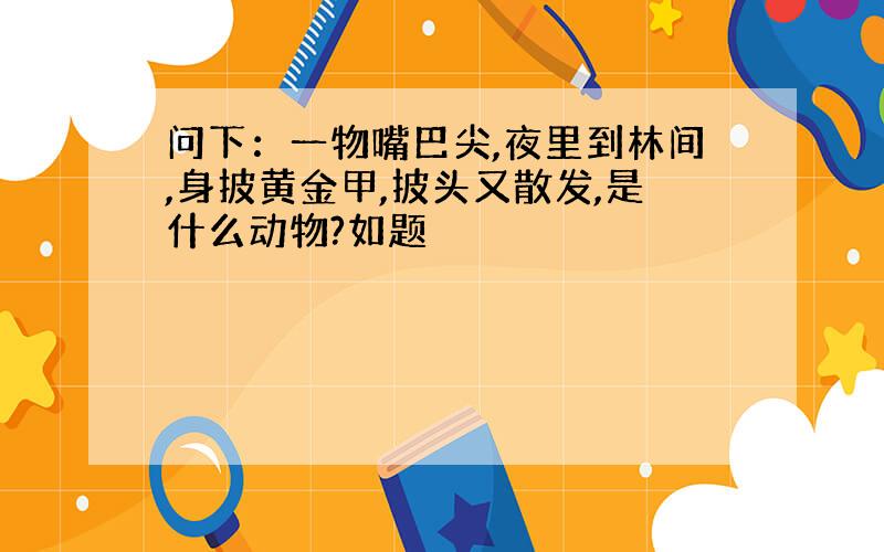 问下：一物嘴巴尖,夜里到林间,身披黄金甲,披头又散发,是什么动物?如题