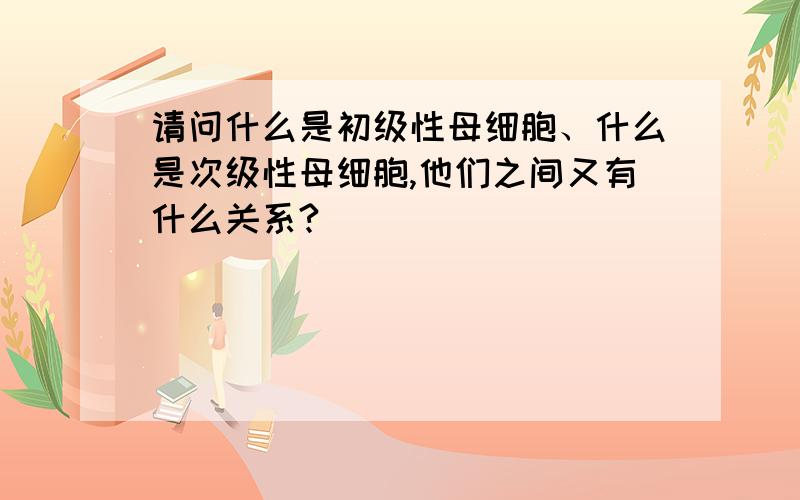 请问什么是初级性母细胞、什么是次级性母细胞,他们之间又有什么关系?