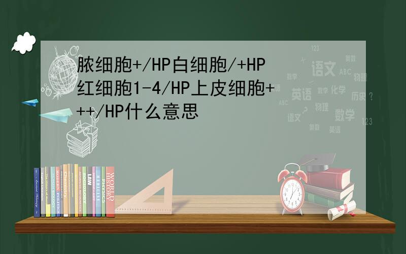 脓细胞+/HP白细胞/+HP红细胞1-4/HP上皮细胞+++/HP什么意思