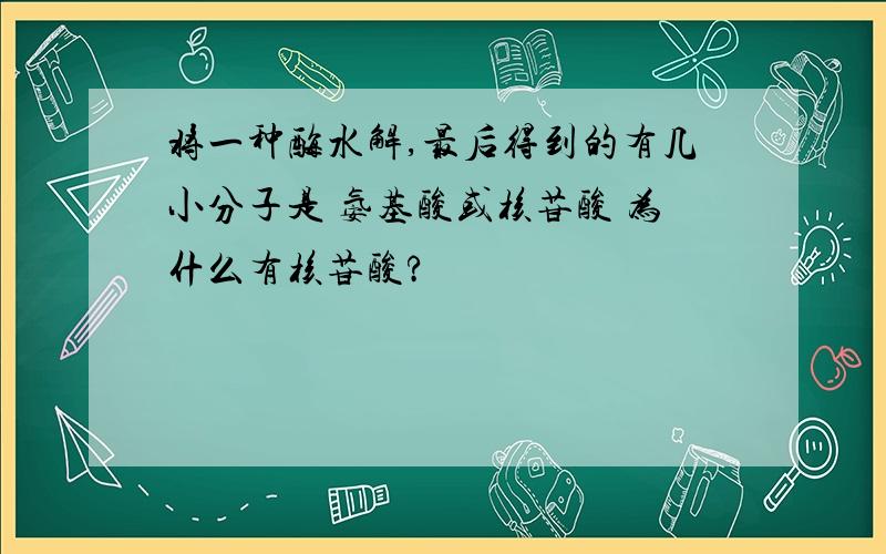 将一种酶水解,最后得到的有几小分子是 氨基酸或核苷酸 为什么有核苷酸?