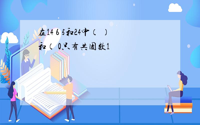 在14 6 5和24中（ ）和（ 0只有共因数1