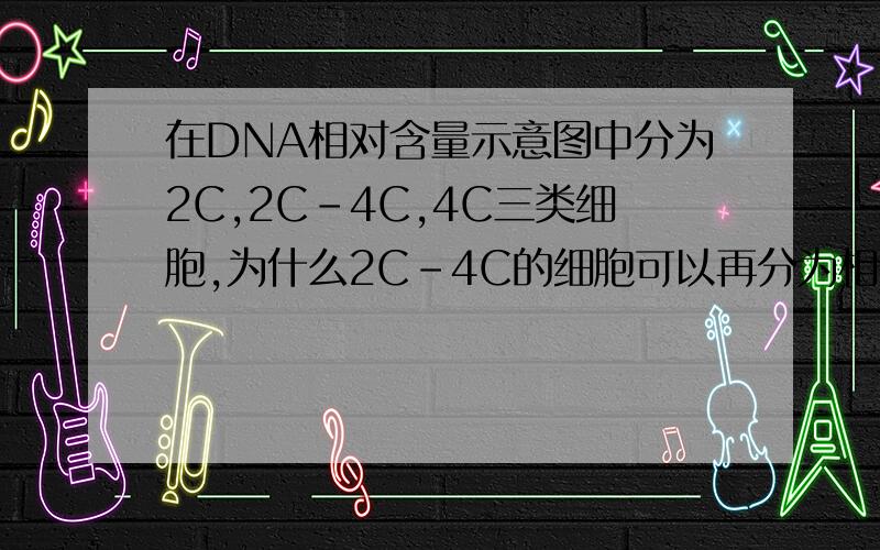 在DNA相对含量示意图中分为2C,2C-4C,4C三类细胞,为什么2C-4C的细胞可以再分为相同的4份?