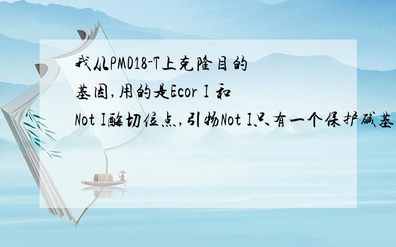 我从PMD18-T上克隆目的基因,用的是Ecor I 和Not I酶切位点,引物Not I只有一个保护碱基,这样可以吗?