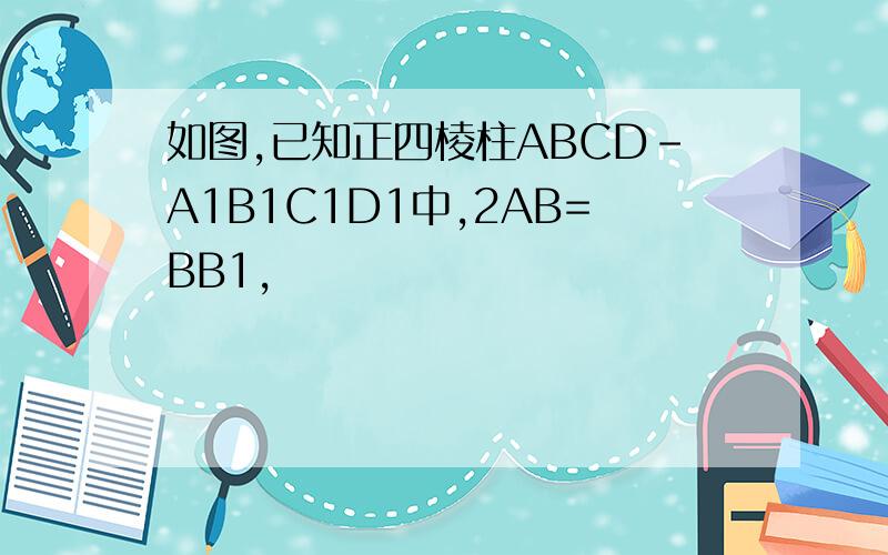 如图,已知正四棱柱ABCD-A1B1C1D1中,2AB=BB1,