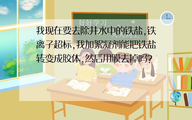 我现在要去除井水中的铁盐,铁离子超标,我加絮凝剂能把铁盐转变成胶体,然后用膜去掉吗?