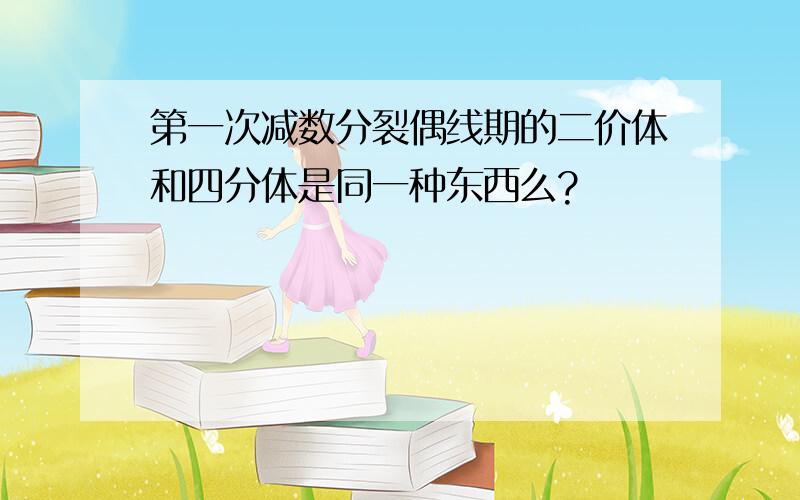 第一次减数分裂偶线期的二价体和四分体是同一种东西么?