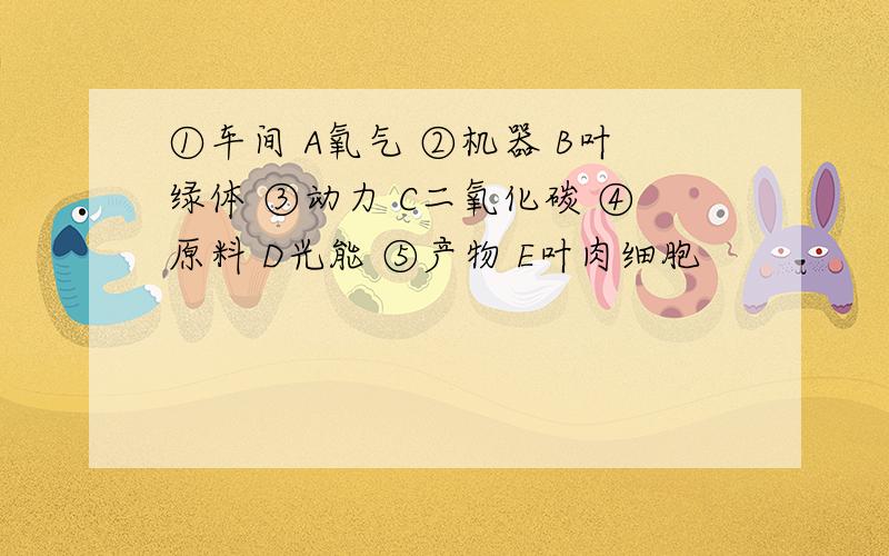 ①车间 A氧气 ②机器 B叶绿体 ③动力 C二氧化碳 ④原料 D光能 ⑤产物 E叶肉细胞