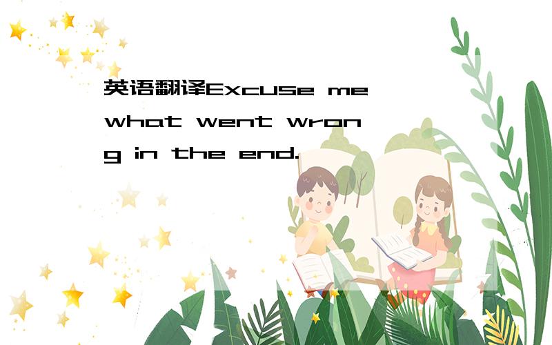 英语翻译Excuse me,what went wrong in the end.