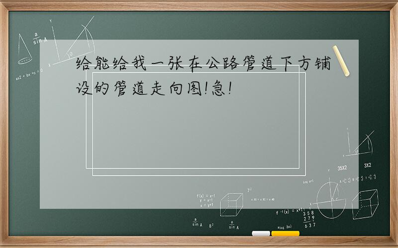 给能给我一张在公路管道下方铺设的管道走向图!急!