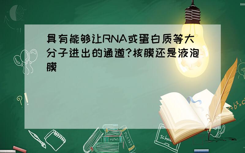 具有能够让RNA或蛋白质等大分子进出的通道?核膜还是液泡膜