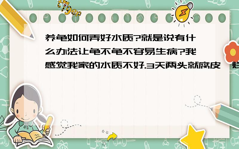 养龟如何弄好水质?就是说有什么办法让龟不龟不容易生病?我感觉我家的水质不好.3天两头就腐皮,烂甲!有什么办法养好水?