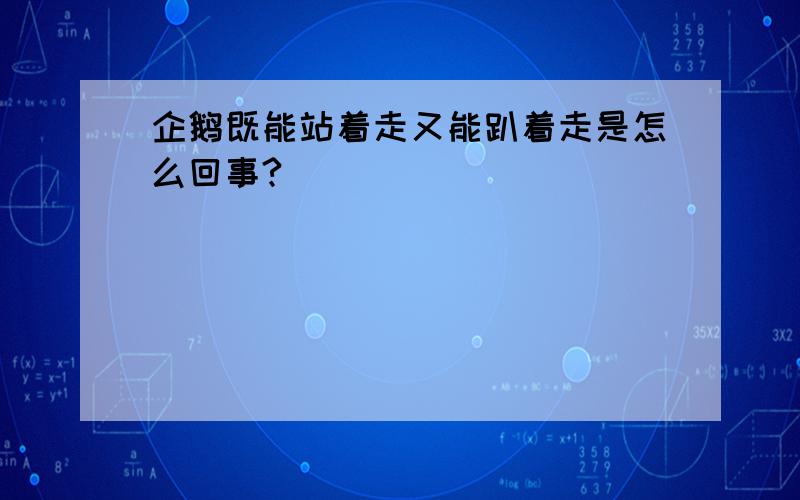 企鹅既能站着走又能趴着走是怎么回事?