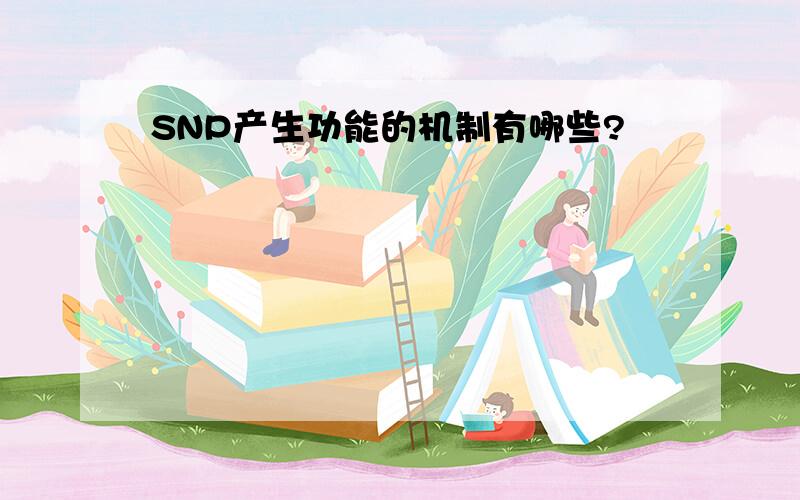 SNP产生功能的机制有哪些?