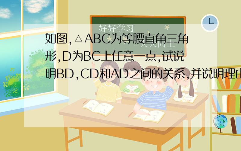 如图,△ABC为等腰直角三角形,D为BC上任意一点,试说明BD,CD和AD之间的关系,并说明理由