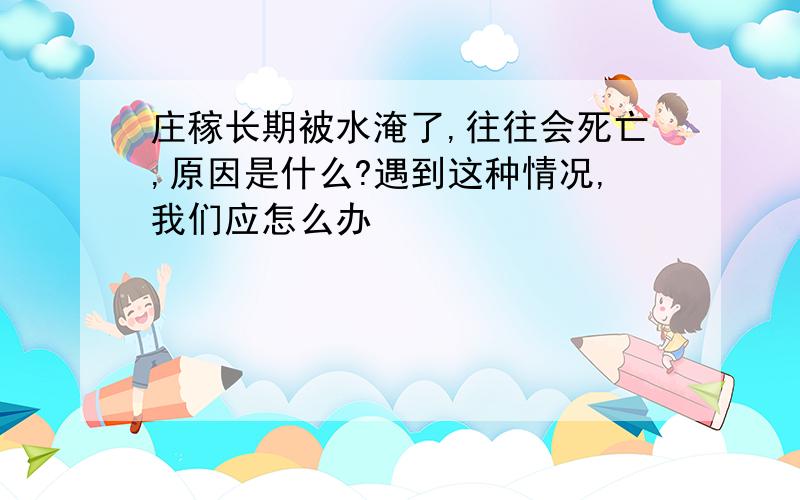 庄稼长期被水淹了,往往会死亡,原因是什么?遇到这种情况,我们应怎么办