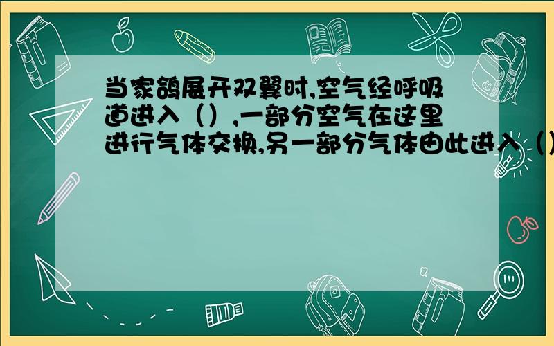 当家鸽展开双翼时,空气经呼吸道进入（）,一部分空气在这里进行气体交换,另一部分气体由此进入（）.