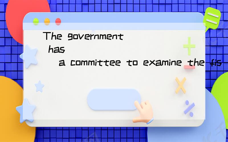 The government has __________ a committee to examine the fis