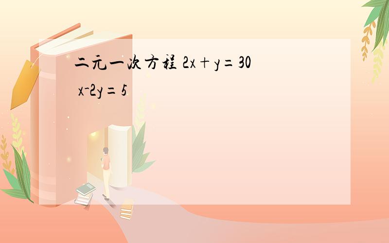 二元一次方程 2x+y=30 x-2y=5