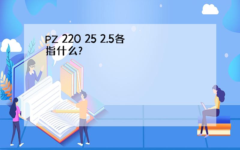 PZ 220 25 2.5各指什么?