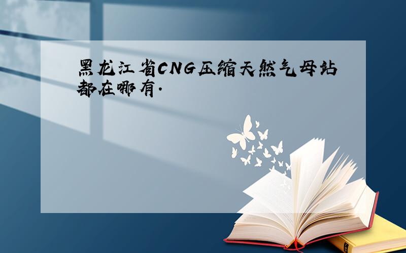 黑龙江省CNG压缩天然气母站都在哪有.