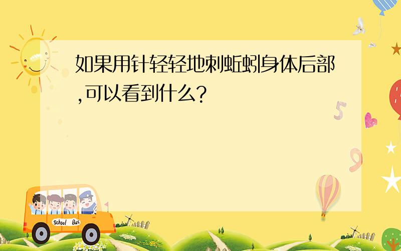 如果用针轻轻地刺蚯蚓身体后部,可以看到什么?