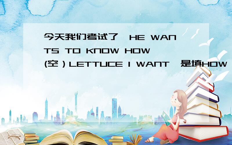 今天我们考试了,HE WANTS TO KNOW HOW(空）LETTUCE I WANT,是填HOW MUCH 还是H