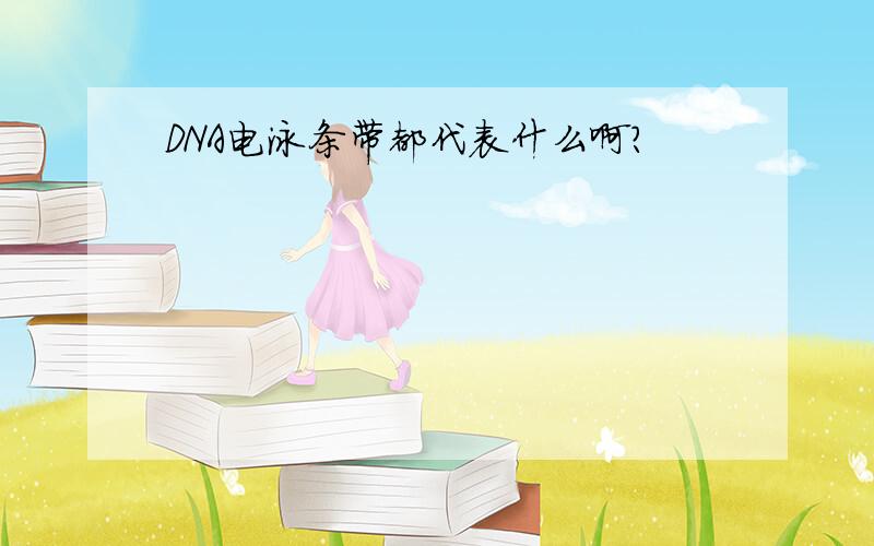 DNA电泳条带都代表什么啊?