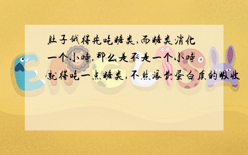 肚子饿得先吃糖类,而糖类消化一个小时,那么是不是一个小时就得吃一点糖类,不然浪费蛋白质的吸收