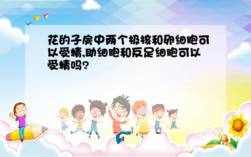 花的子房中两个极核和卵细胞可以受精,助细胞和反足细胞可以受精吗?