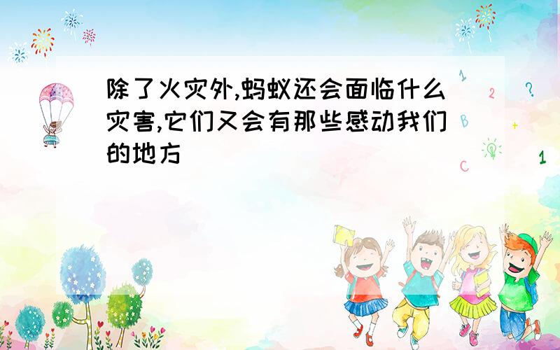 除了火灾外,蚂蚁还会面临什么灾害,它们又会有那些感动我们的地方