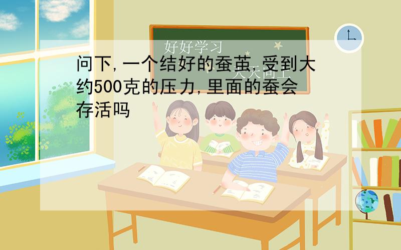 问下,一个结好的蚕茧,受到大约500克的压力,里面的蚕会存活吗