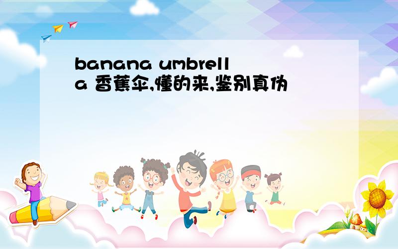 banana umbrella 香蕉伞,懂的来,鉴别真伪