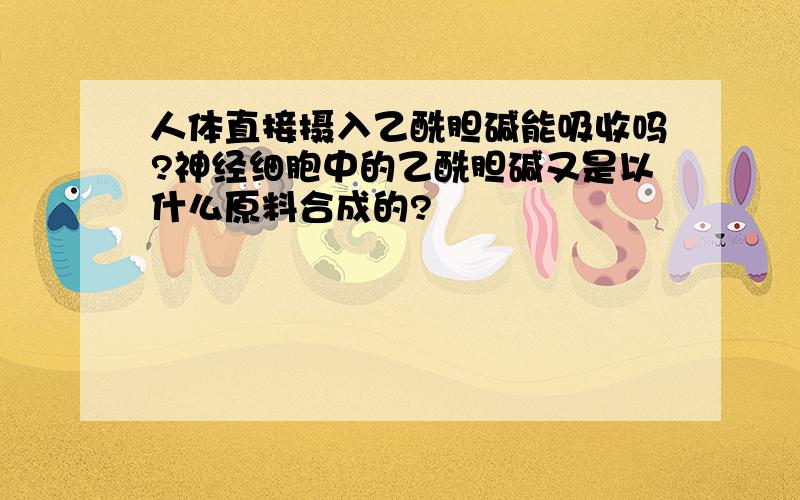 人体直接摄入乙酰胆碱能吸收吗?神经细胞中的乙酰胆碱又是以什么原料合成的?