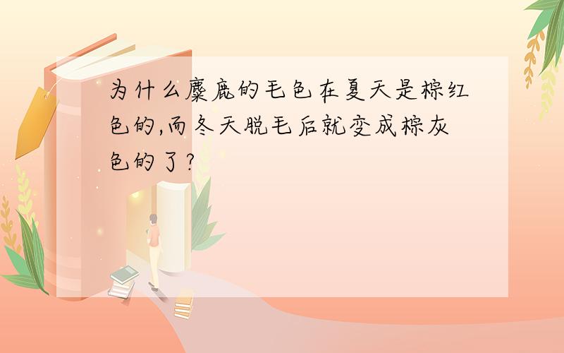 为什么麋鹿的毛色在夏天是棕红色的,而冬天脱毛后就变成棕灰色的了?