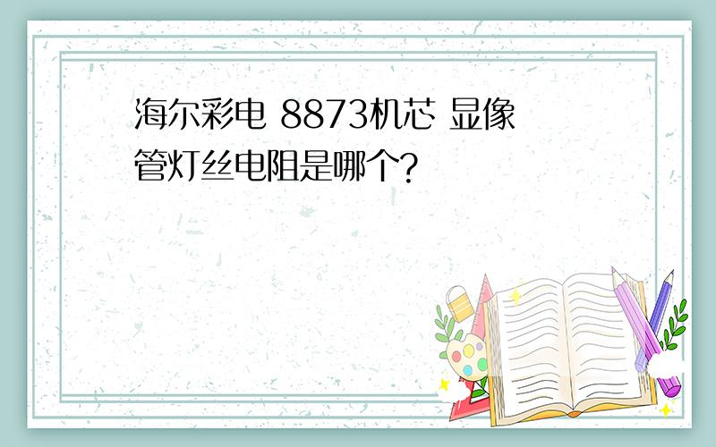 海尔彩电 8873机芯 显像管灯丝电阻是哪个?