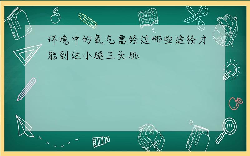 环境中的氧气需经过哪些途径才能到达小腿三头肌